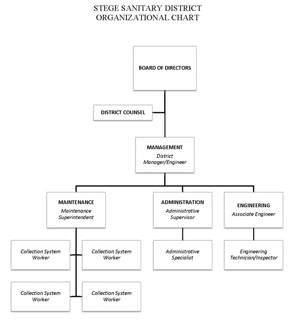 Organization Chart